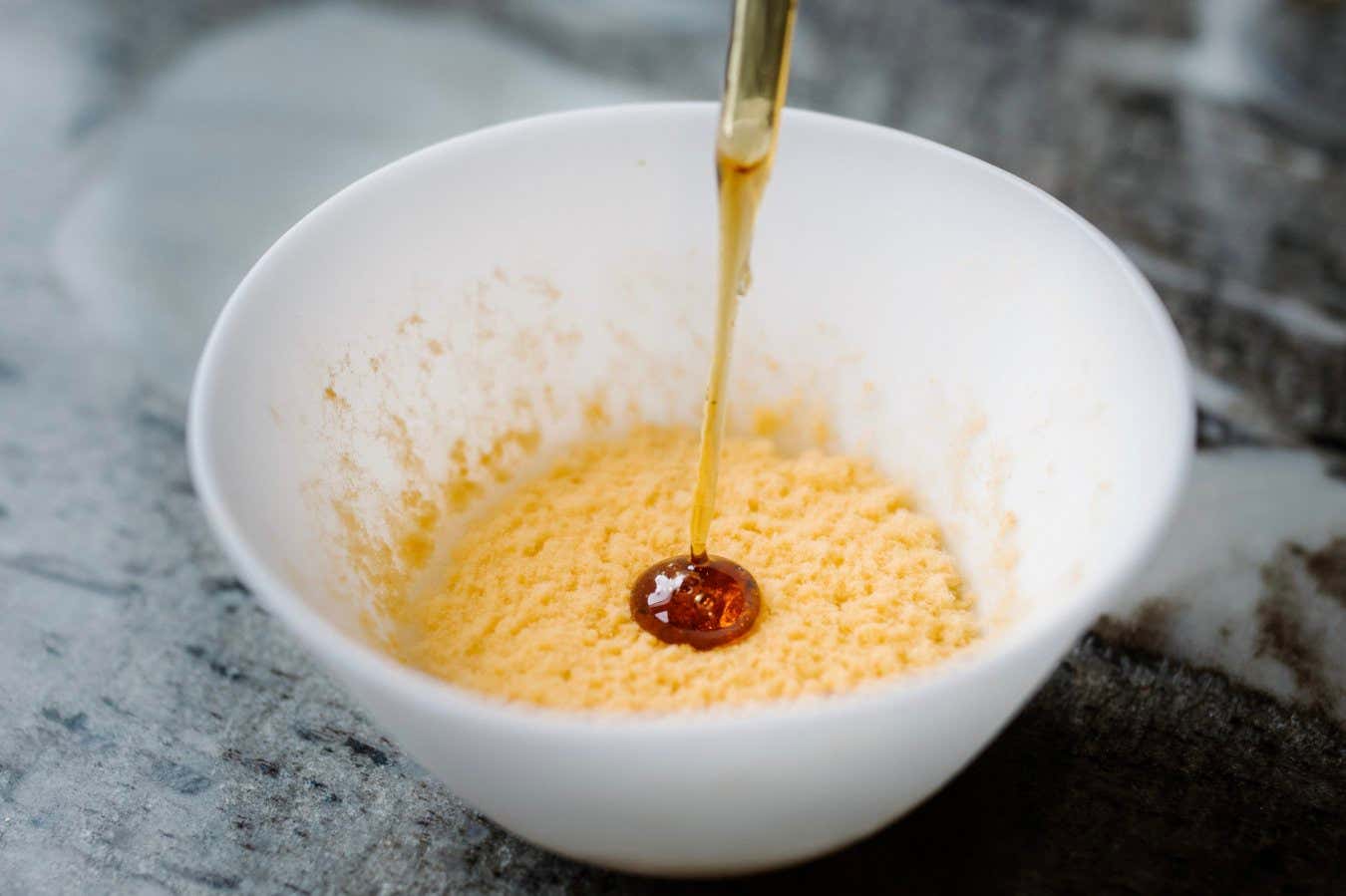 Neurospora intermedia, an orange mold, turns day-old bread into a cheesy treat when toasted (left). The mold transforms sugarless rice custard into a sweet dessert served at the Alchemist restaurant in Copenhagen (right). CREDIT Images courtesy of Blue Hill at Stone Farm and Alchemist