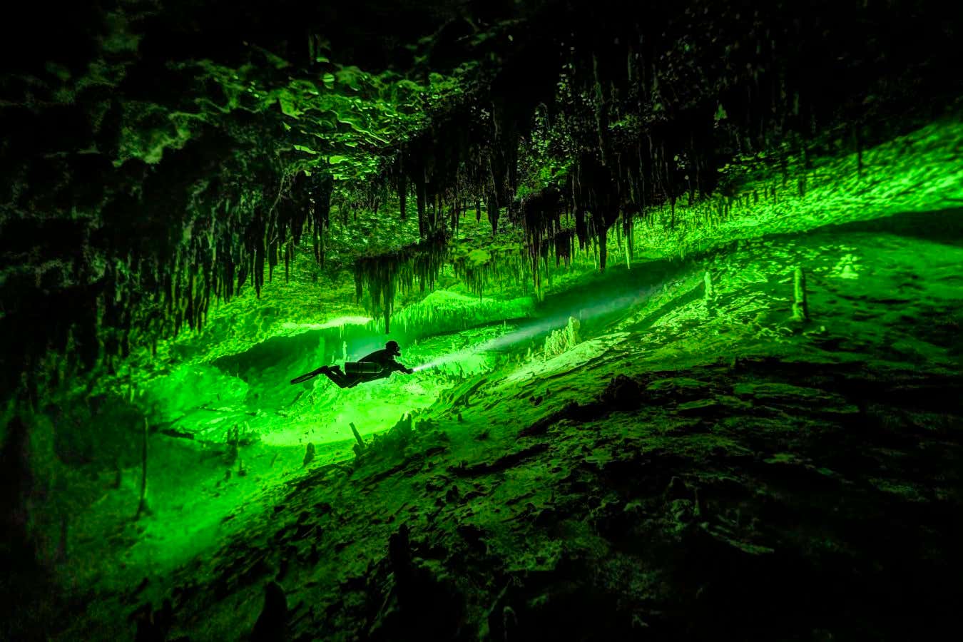 Cave diver explores a Mexican sinkhole in atmospheric photograph