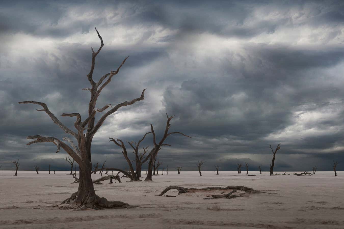 New Scientist. Science news and long reads from expert journalists, covering developments in science, technology, health and the environment on the website and the magazine.