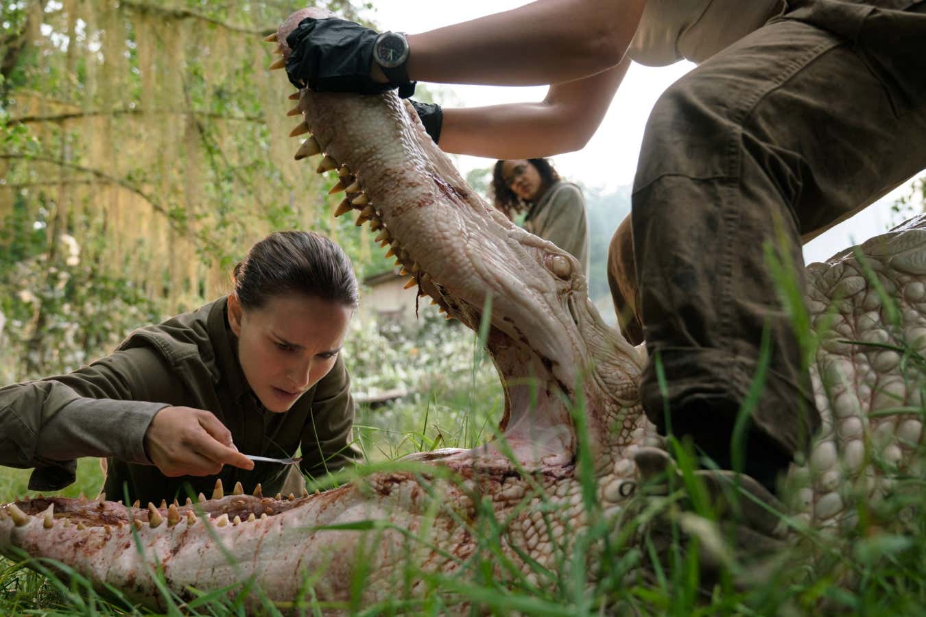 Natalie Portman in the film adaptation of Jeff Vandermeer's Annihilation