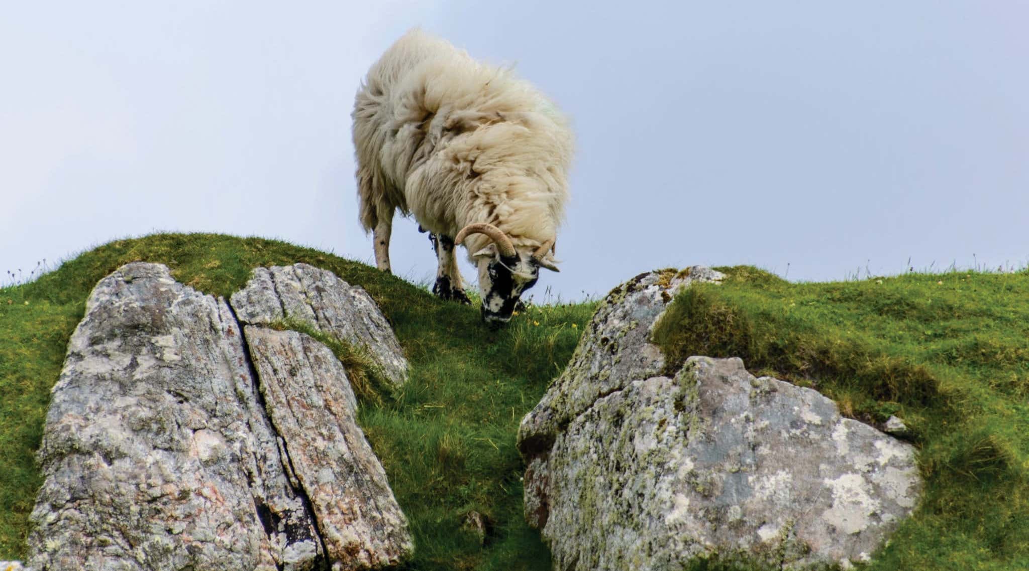 New Scientist. Science news and long reads from expert journalists, covering developments in science, technology, health and the environment on the website and the magazine.