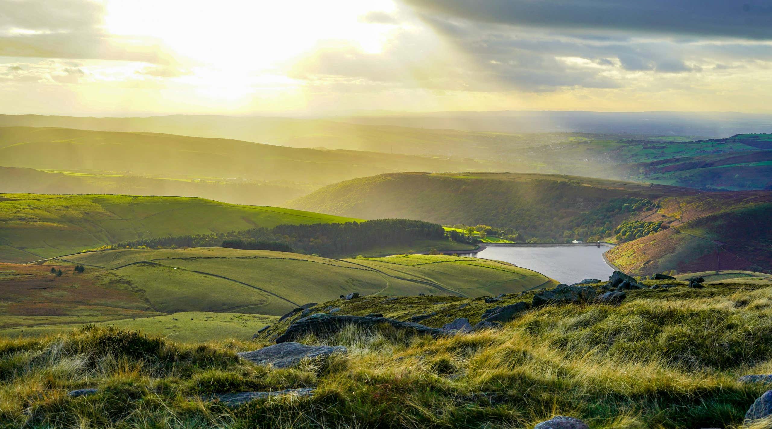 New Scientist. Science news and long reads from expert journalists, covering developments in science, technology, health and the environment on the website and the magazine.