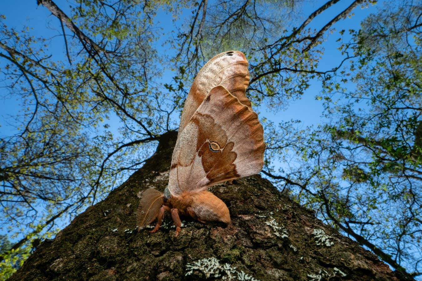 New Scientist. Science news and long reads from expert journalists, covering developments in science, technology, health and the environment on the website and the magazine.