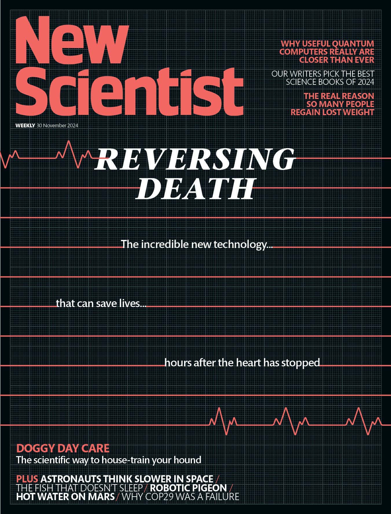 New Scientist issue 3519 cover