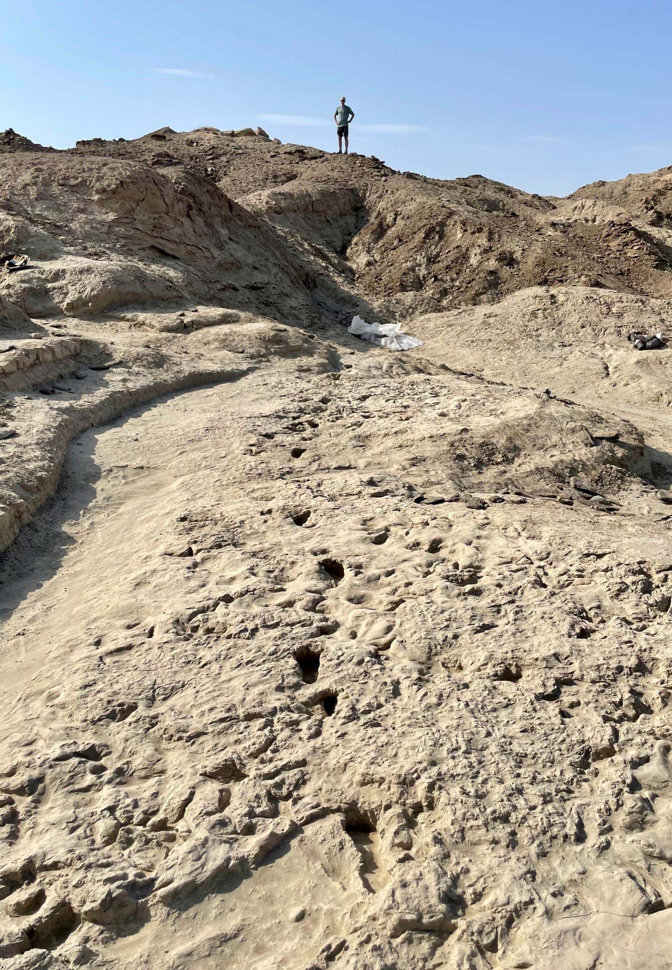 A trackway of footprints thought to have been left by a Paranthropus boisei individual