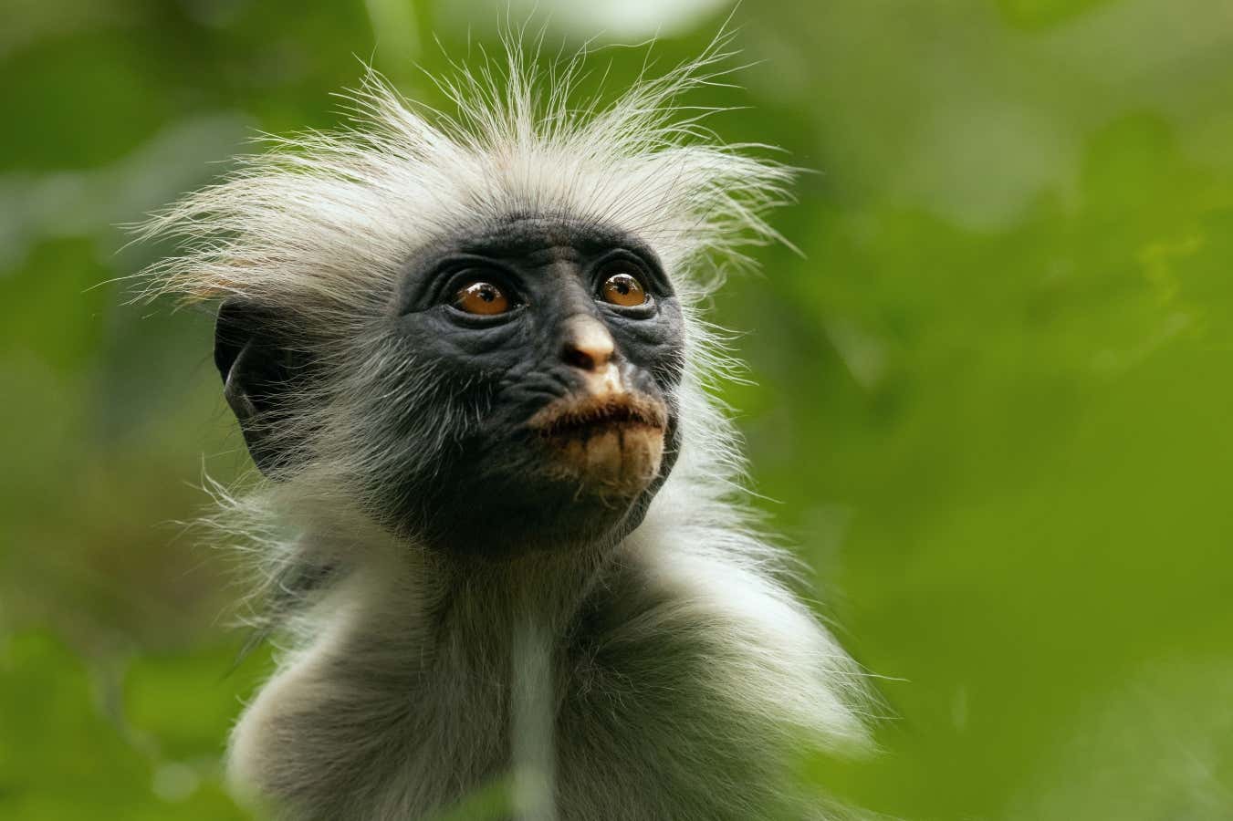 The best science and technology documentaries of 2024