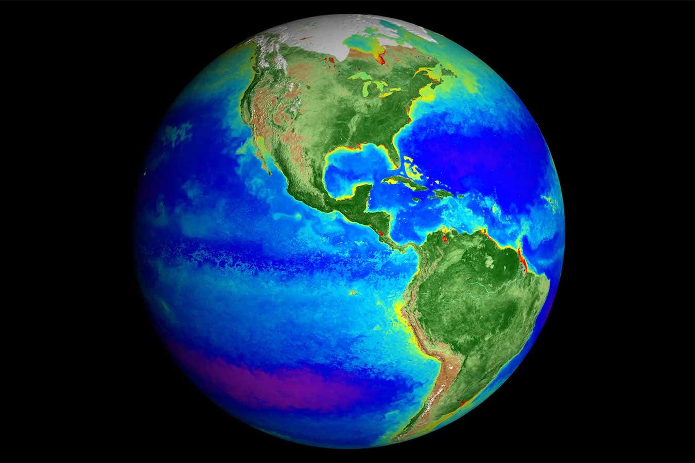 Phytoplankton data collected from a satellite