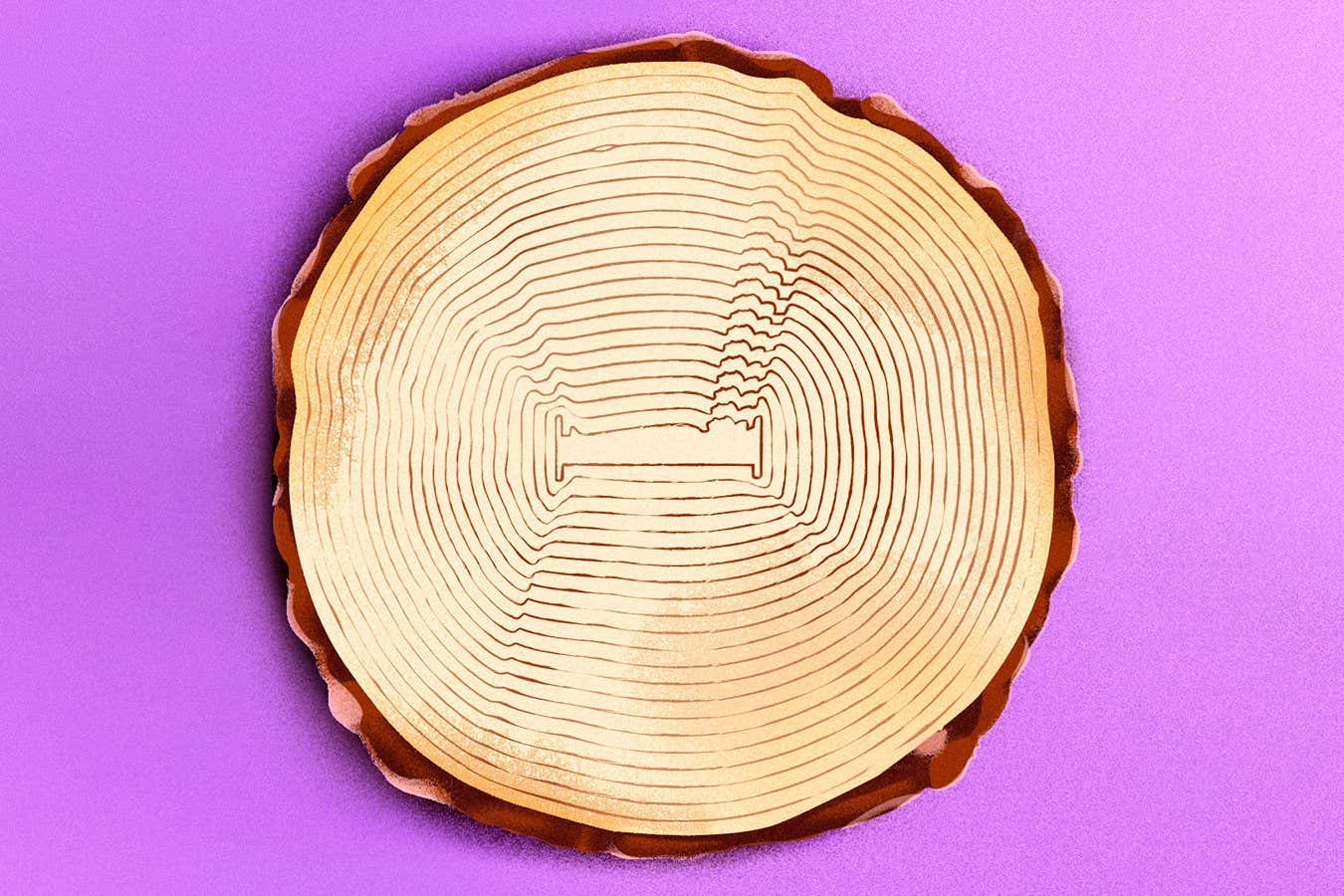 Could hibernation technology allow humans to skip winters?