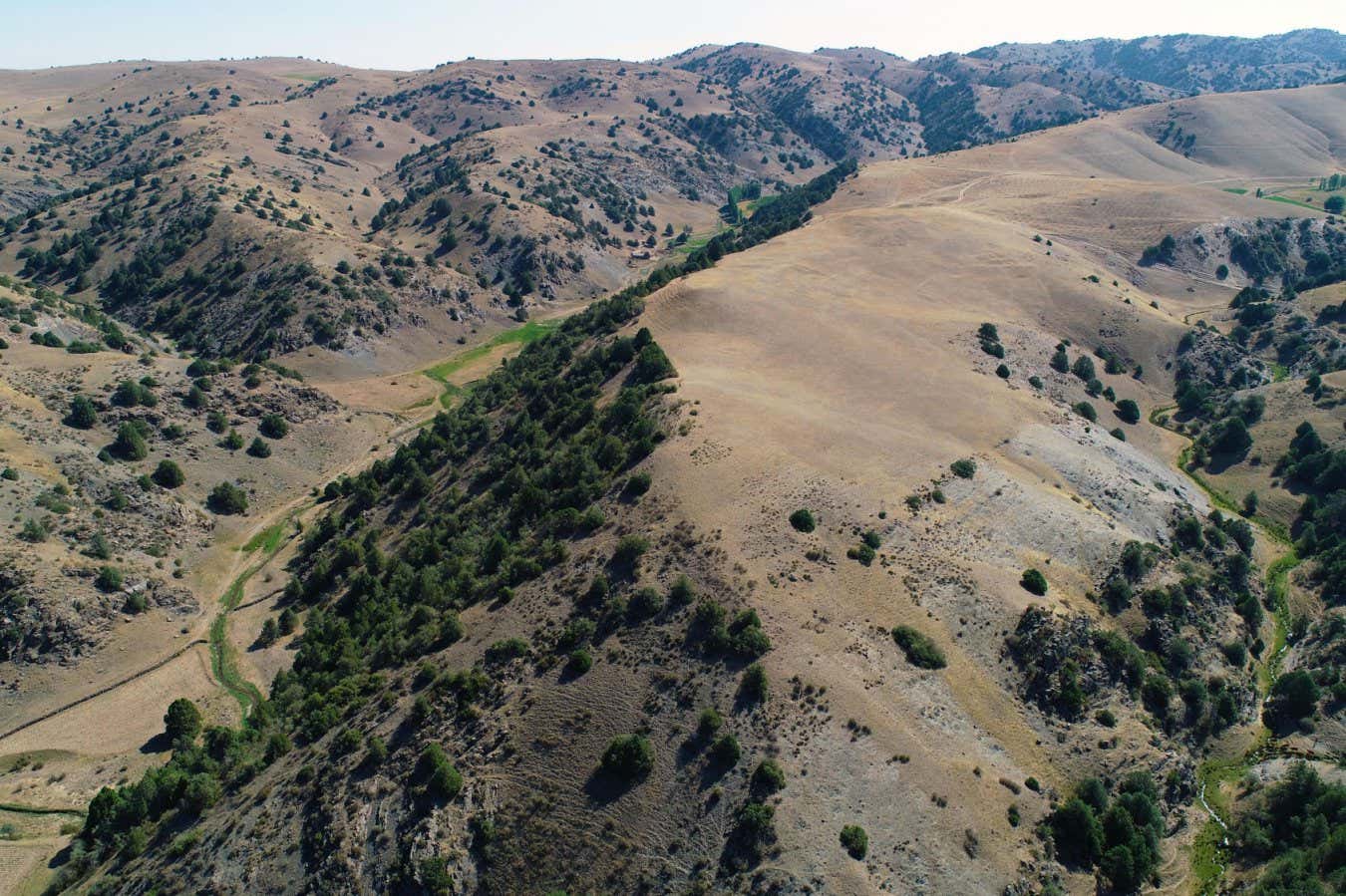 Tugunbulak, drone view west over sector A Credit: M. Frachetti Two archaeological sites located over 2,000 m above sea level in the mountains of Uzbekistan are revealed to have been major urban centres, according to a new analysis published in Nature. The discovery of the remote sites, positioned along Asia?s medieval Silk Routes, may warrant a rethink of the role of peripheral communities in shaping trade and political interactions along the Silk Road. Urban centres are rarely located over 2,000 m above sea level, with only 3% of the planet?s population living at or above that height. Archaeological cities located at this height are seen as unique given the technological limitation to building settlements and farming at that altitude. Tashbulak and Tugunbulak are two ancient cities located 5 km apart in the mountains of Uzbekistan, which were discovered in 2011 and 2015, respectively. Although both were located along Asia?s medieval Silk Routes, which were active throughout the medieval period (6th?11th centuries), previous research has revealed sparse evidence of large permanent communities at such altitudes. Michael Frachetti and colleagues analysed data from 22 lidar (light detection and ranging, a remote sensing method) flights over Tashbulak and Tugunbulak, taken in July 2022. They found that Tugunbulak occupies approximately 120 ha (1.2 km2) and shows evidence of over 300 unique structures, which vary in size from 30 to 4,300 m2. More specifically, the researchers identified watchtowers connected with walls along a ridge line, evidence of terracing, and a central fortress surrounded by walls made of stone and mudbrick. Tashbulak, meanwhile, occupies 12?15 ha (0.12?0.15 km2). Frachetti and colleagues note that even the smaller city follows urban planning similar to concurrent cities in medieval Central Asia, namely including a centre citadel made of an elevated mound surrounded by dense architecture and walled fortifications. They suggest that there are at least 98 visible habitations, which share a similar shape and size to those in Tugunbulak, and hypothesize that both cities were built to exploit the surrounding mountain terrain for defence as well as the abundant ores and pastures the highland region provides. The authors conclude that their lidar flights offered them a more comprehensive view of the two ancient cities and note that further investigation of mountain cities such as Tashbulak and Tugunbulak can help to shed light on their impact on the social and political structures of the time.