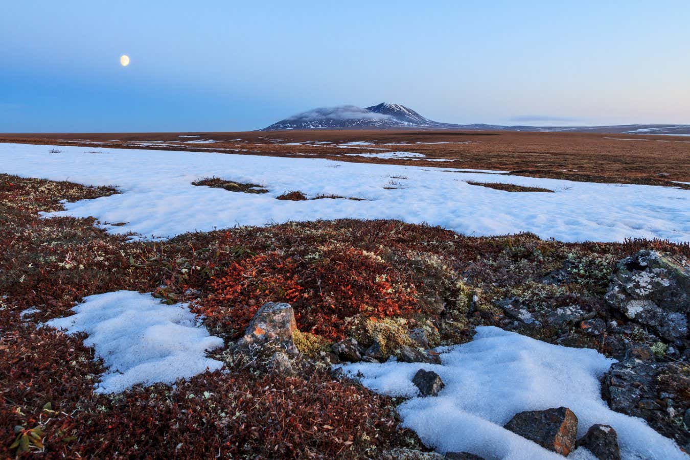 Scenic landscape with tundra, lonely mountain and moon. In June in the Arctic in the tundra, not all snow has melted yet. Beautiful nature of the far North. Anadyr tundra, Chukotka, Siberia, Russia.; Shutterstock ID 1602740413; purchase_order: -; job: -; client: -; other: -