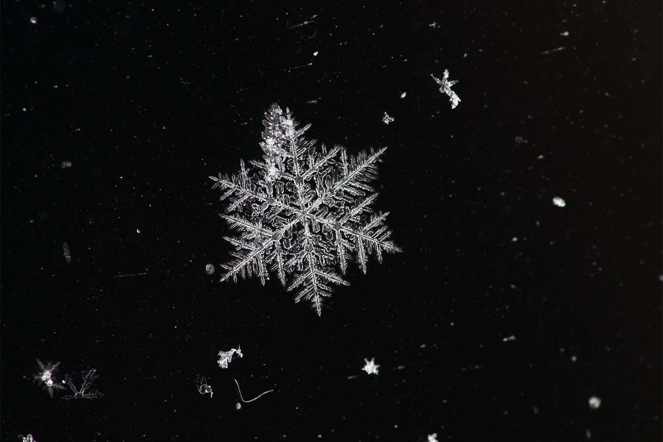 A single snow crystal in close up