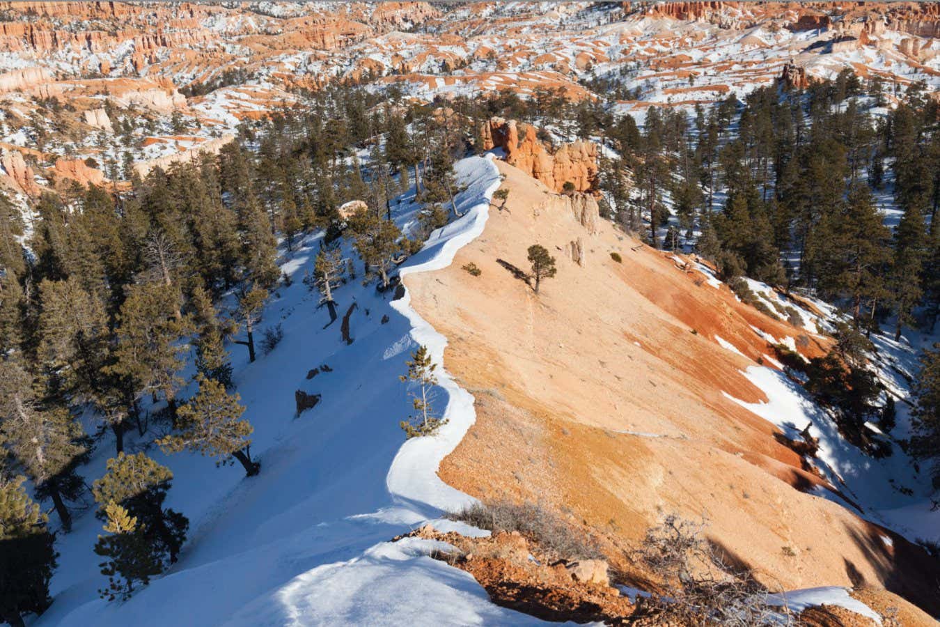 Our Frozen Planet ? Papadakis Bryce Canyon, Utah, USA Slope aspect strongly affects the snow distribution in mountain terrain. Almost all the snow has melted on the south-facing slope of this ridge, whereas a substantial cover remains on the shady, north-facing slope on the left. Page 32+33