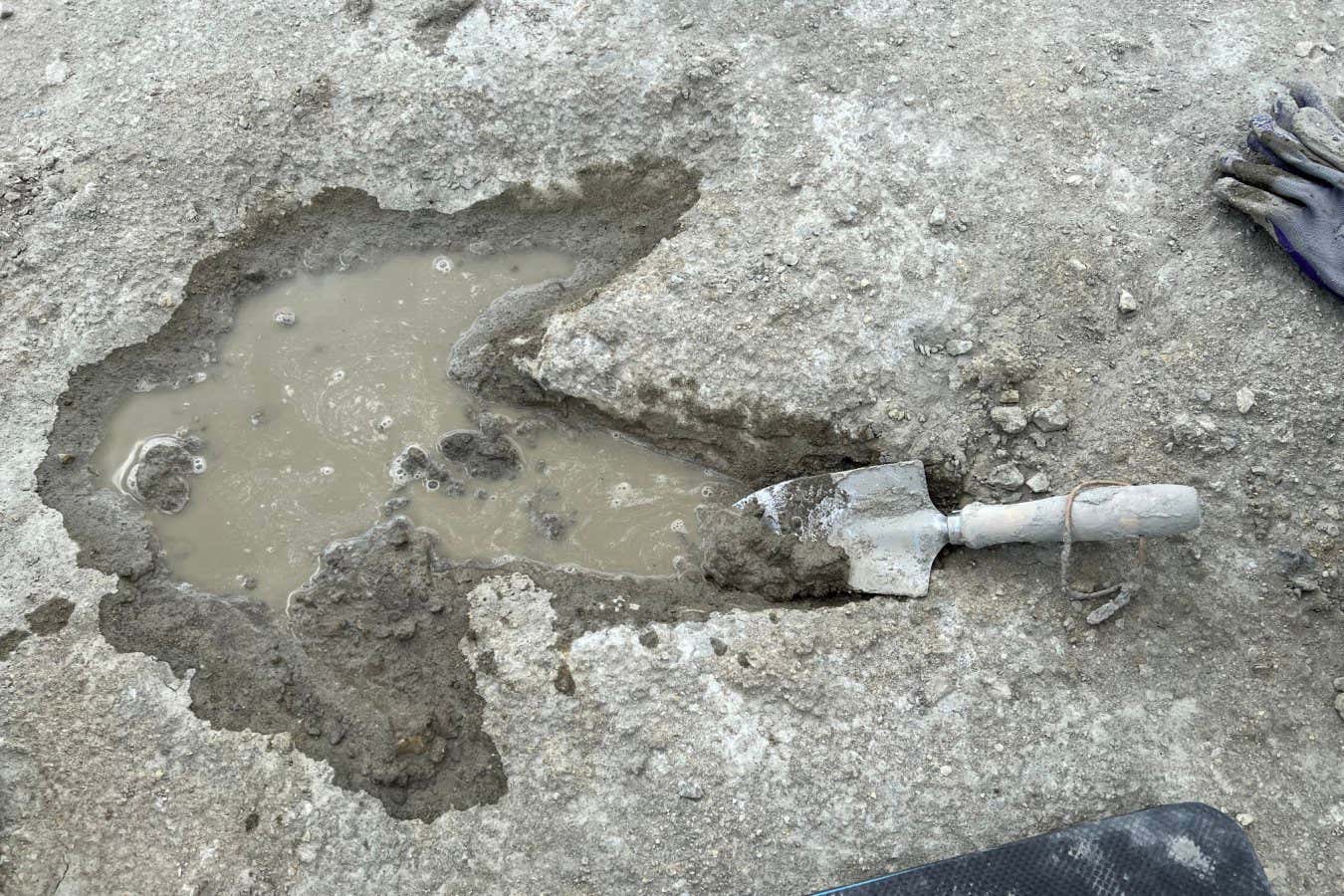 Dewars Farm dinosaur excavation_image credit Emma Nicholls OUMNH