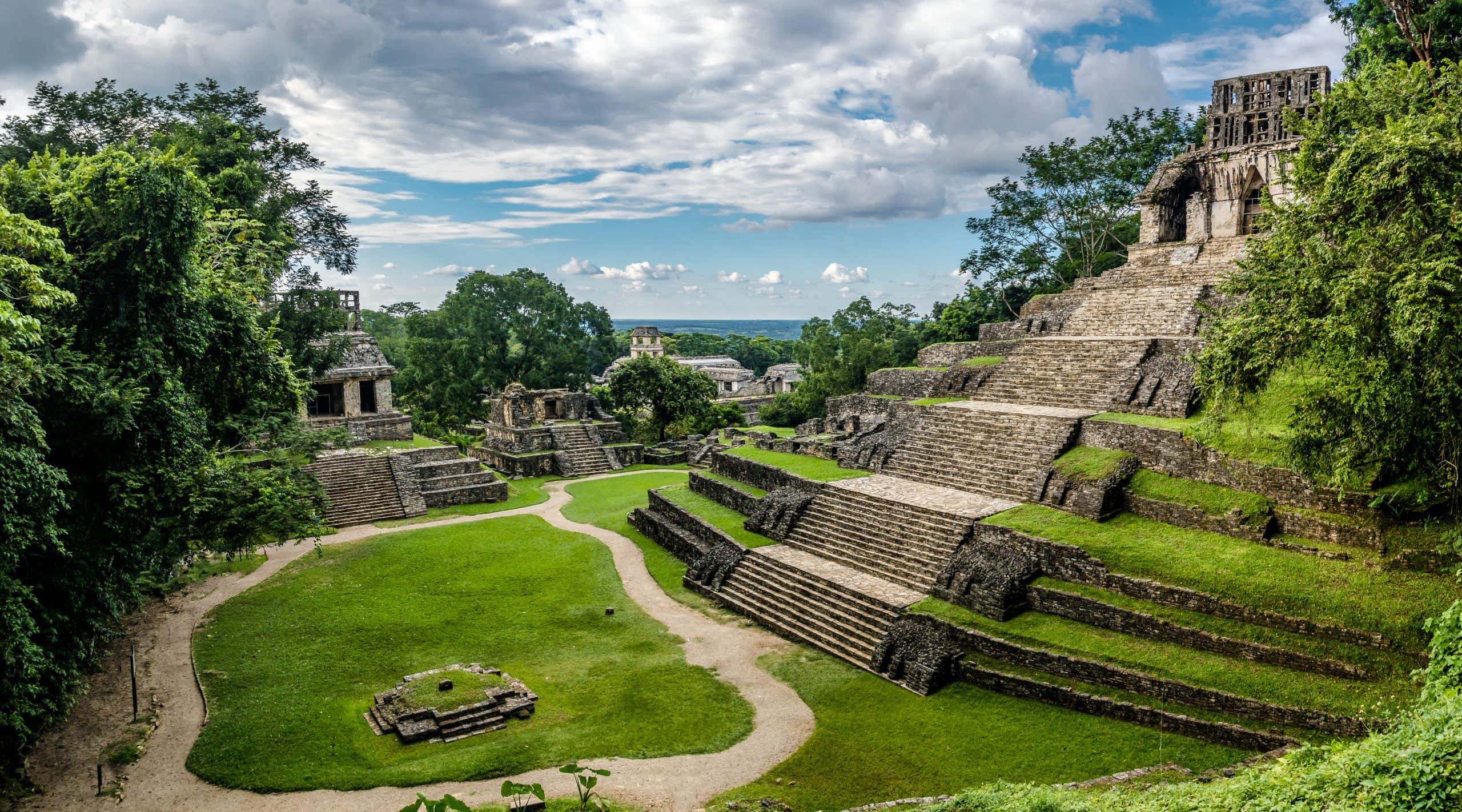 New Scientist. Science news and long reads from expert journalists, covering developments in science, technology, health and the environment on the website and the magazine.