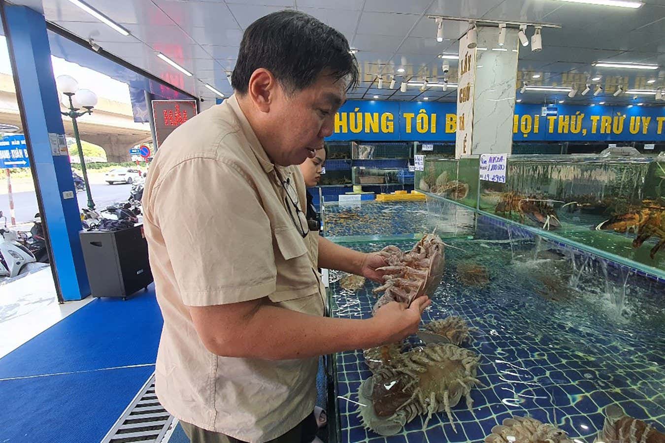 Prof. Peter Ng examining giant isopods from a seafood market in Hanoi, October 2024.