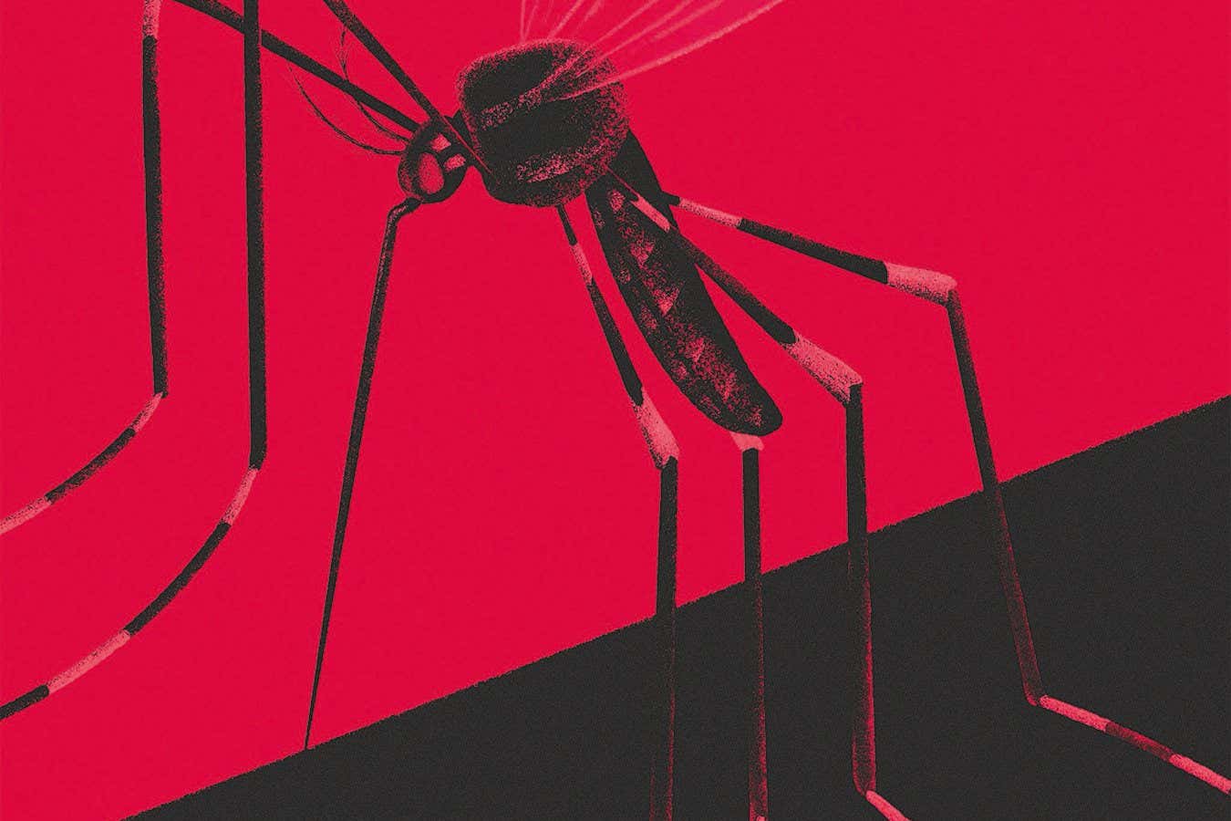 What's next in the fight against malaria?
