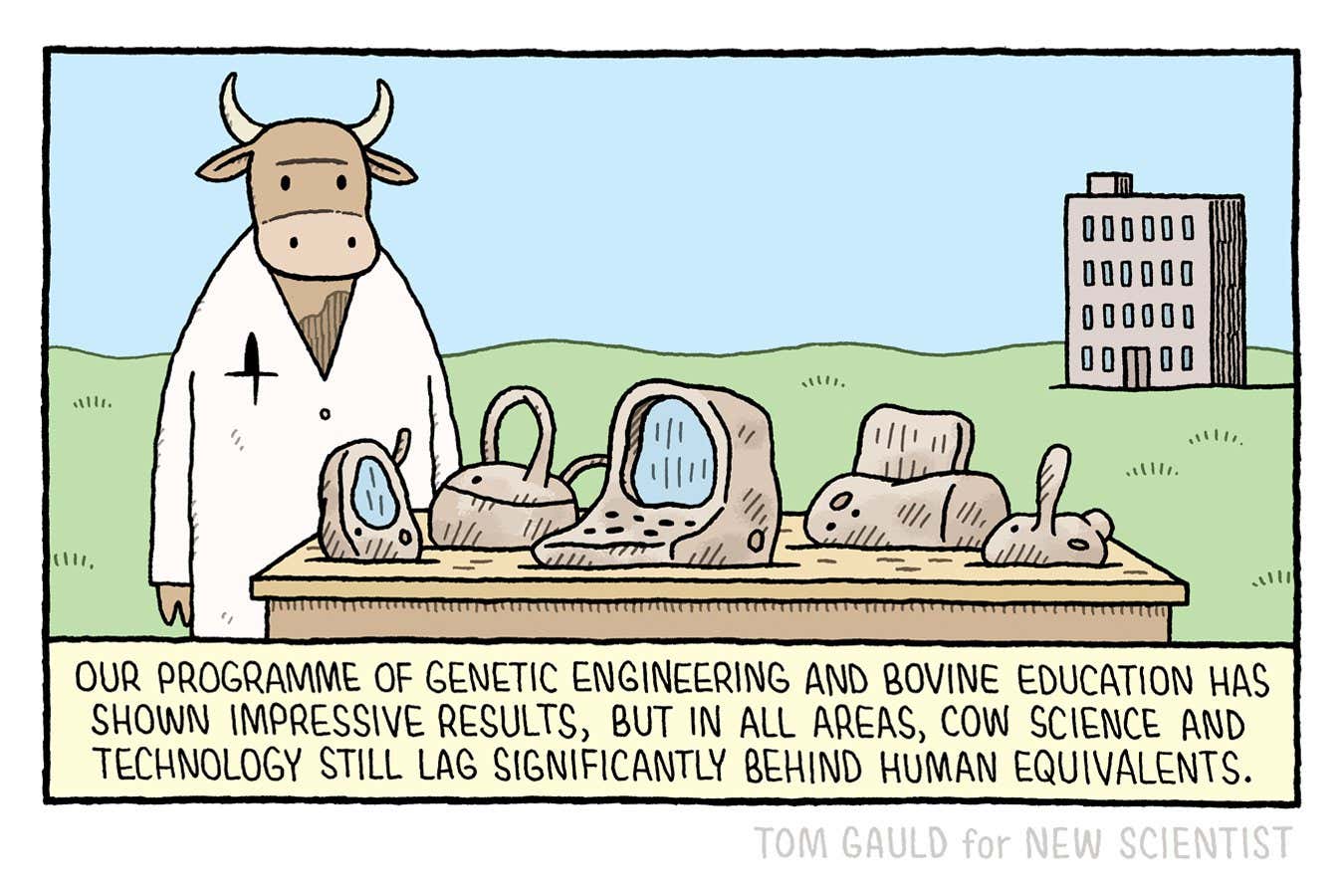 Tom Gauld on the latest in cow science and technology