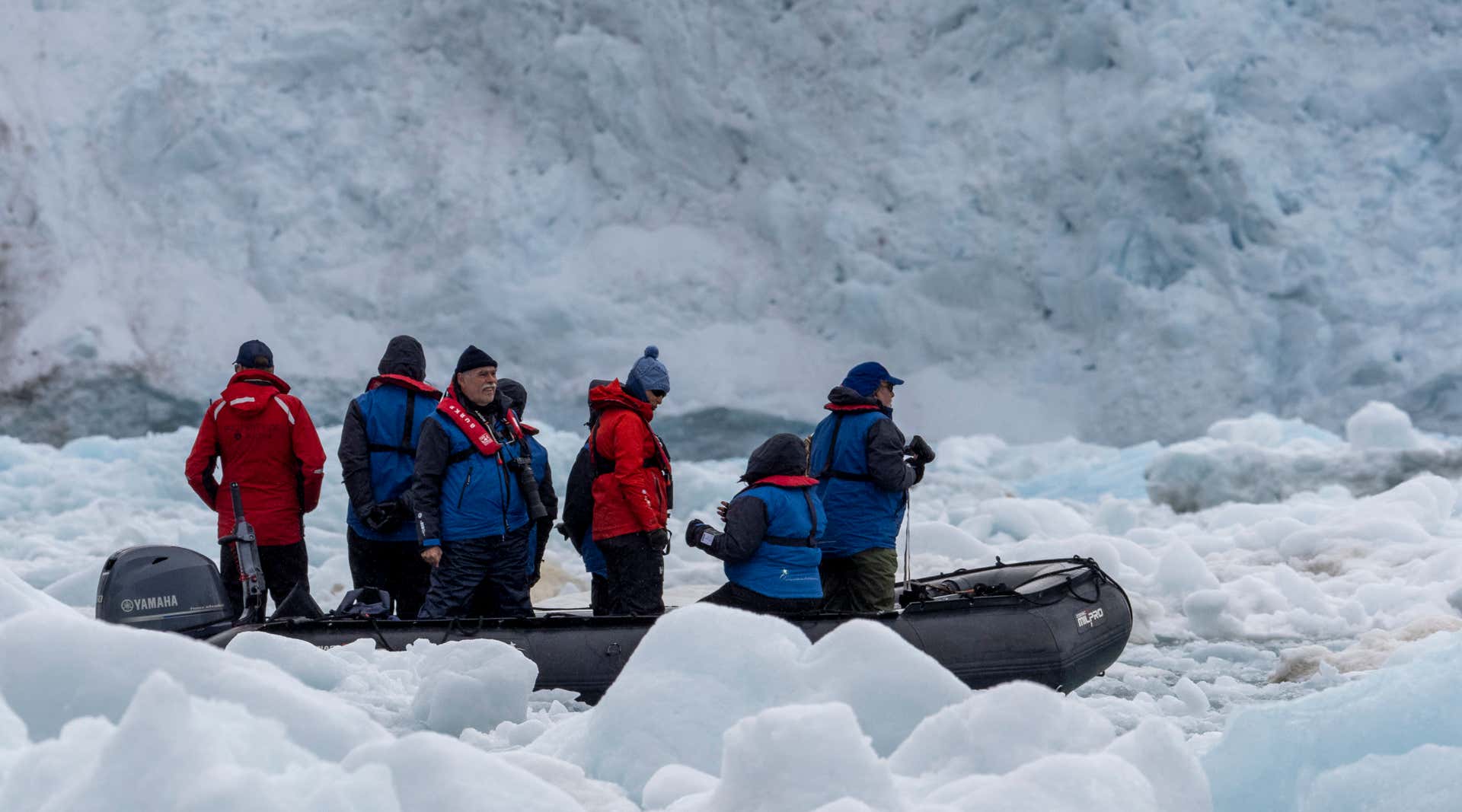 New Scientist. Science news and long reads from expert journalists, covering developments in science, technology, health and the environment on the website and the magazine.