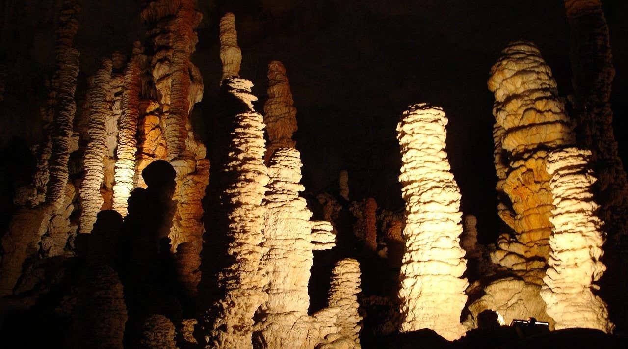 New Scientist. Science news and long reads from expert journalists, covering developments in science, technology, health and the environment on the website and the magazine.