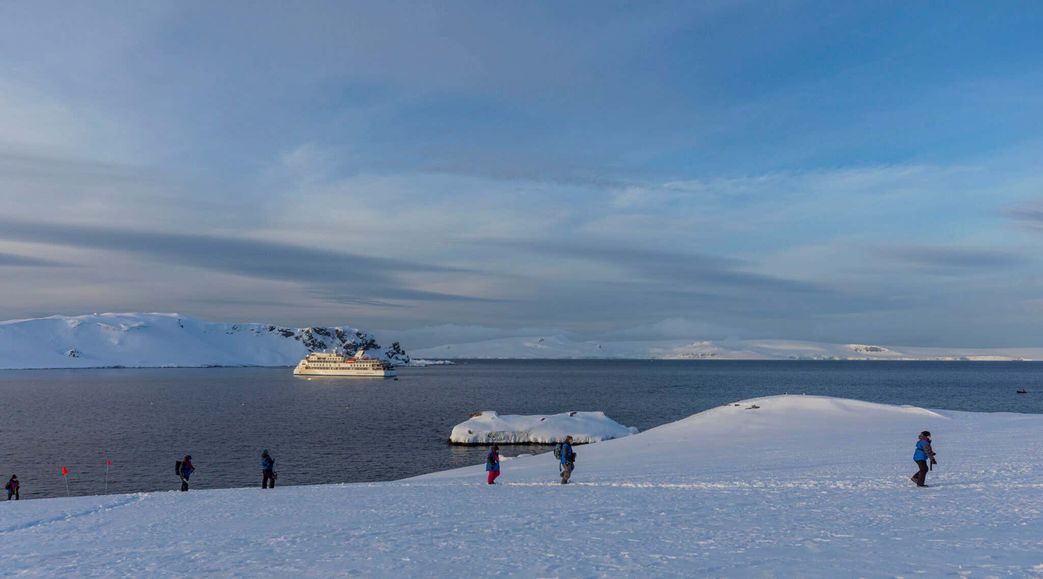 New Scientist. Science news and long reads from expert journalists, covering developments in science, technology, health and the environment on the website and the magazine.