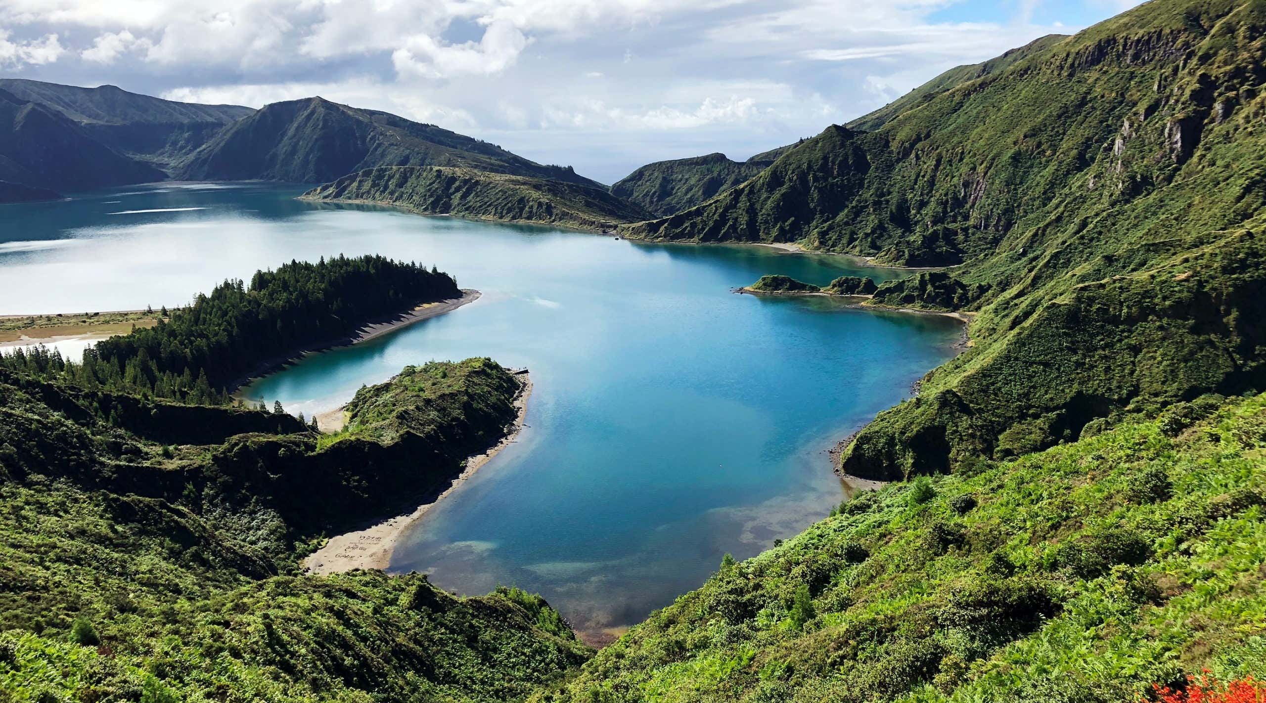 New Scientist. Science news and long reads from expert journalists, covering developments in science, technology, health and the environment on the website and the magazine.