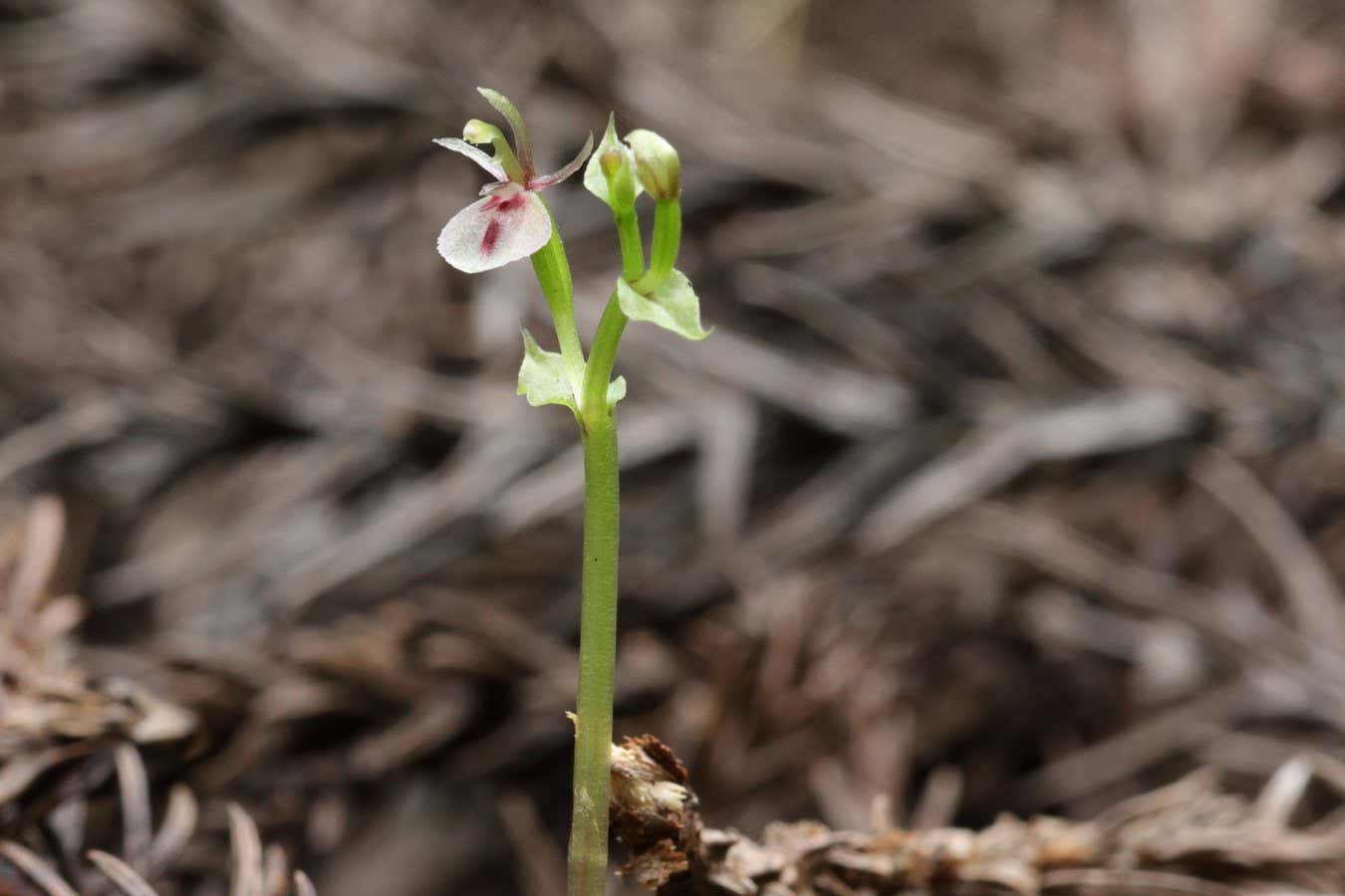 New Scientist. Science news and long reads from expert journalists, covering developments in science, technology, health and the environment on the website and the magazine.