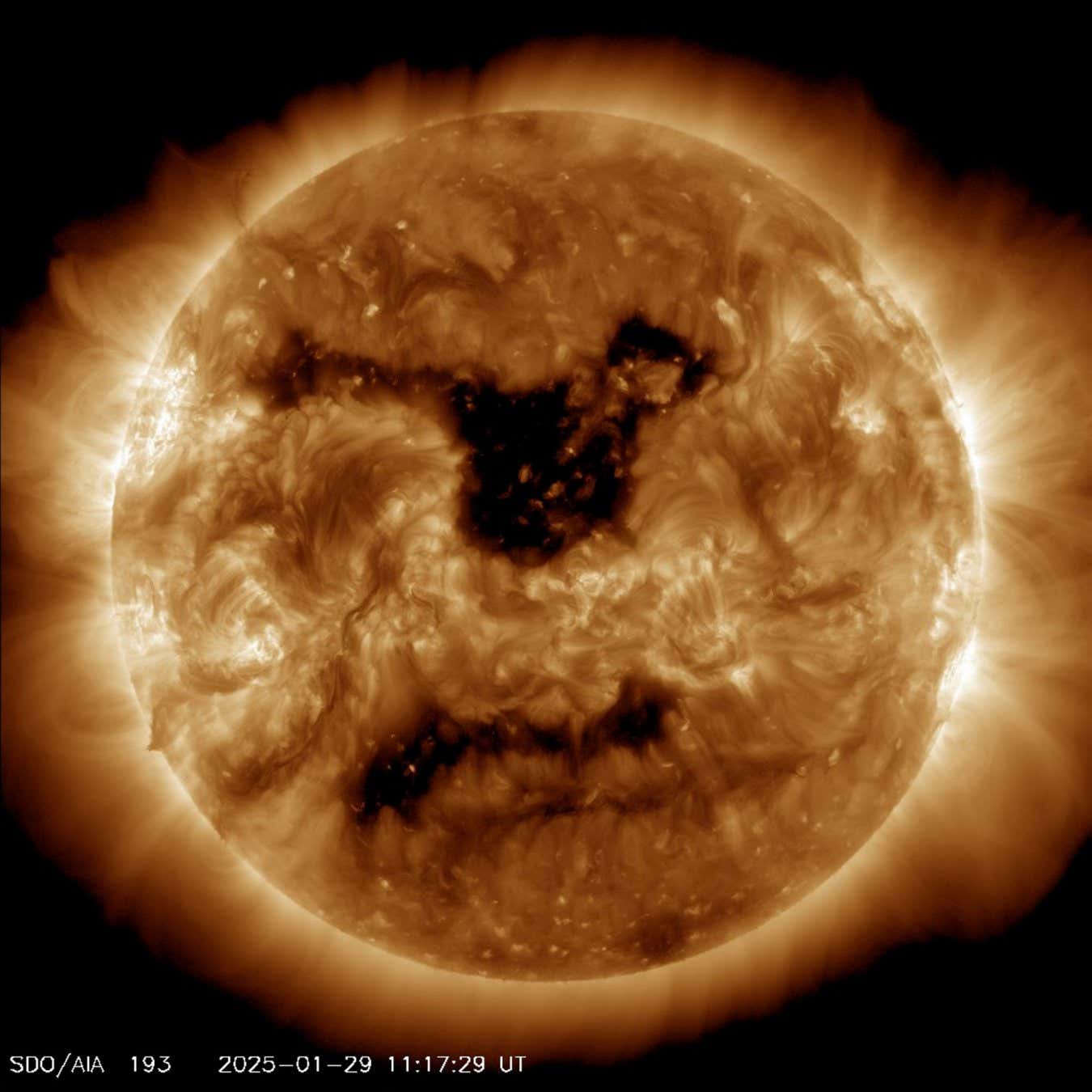 The Sun viewed on 29 January 2025 in the extreme ultraviolet range by NASA's Solar Dynamics Observatory (SDO) spacecraft. A vast 500,000 mile-wide coronal hole has opened in the sun's atmosphere. The area measures over 62 times the diameter of Earth and is now shooting high-speed solar wind toward Earth. When such solar activity is directed at Earth, the resulting geomagnetic storms can potentially disrupt satellite operations, power grids, navigation systems, and radio communications. There may also be spectacular displays of aurora caused as the Earth's magnetosphere is disturbed by the solar wind. According to spaceweather.com, this wind is estimated to hit Earth by Friday (31 Jan), resulting in G1 geomagnetic storm conditions.