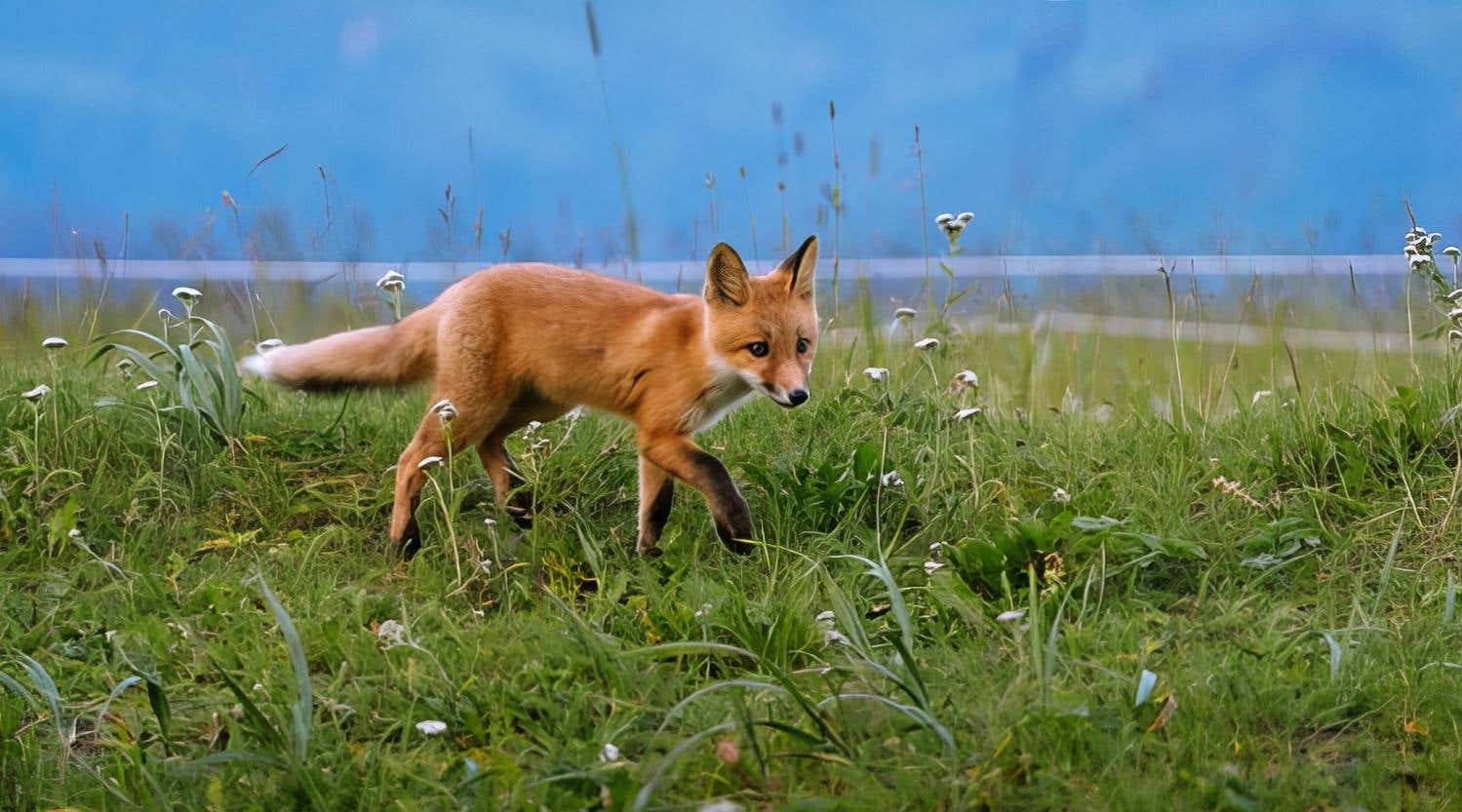 New Scientist. Science news and long reads from expert journalists, covering developments in science, technology, health and the environment on the website and the magazine.