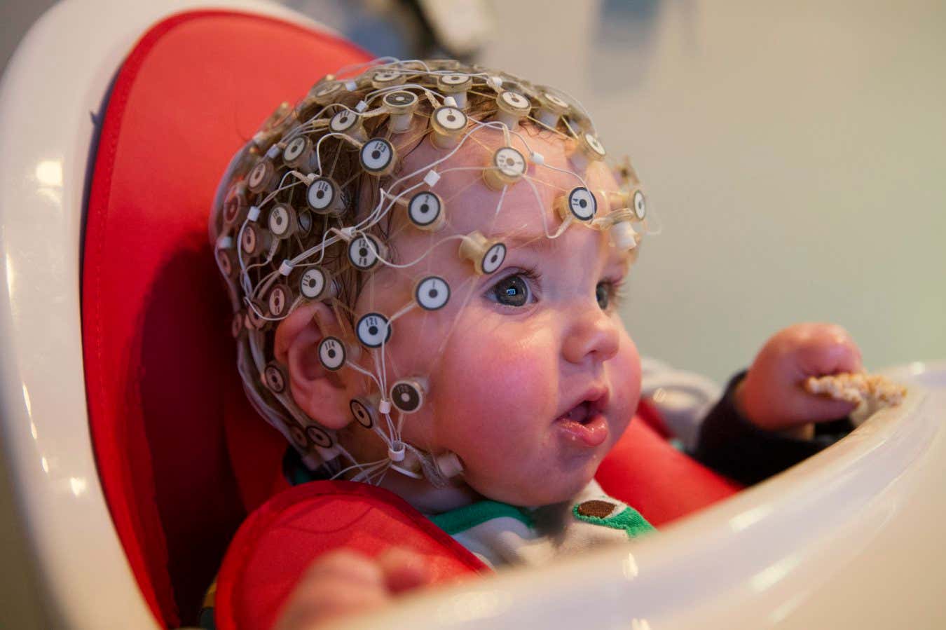 LONDON, ENGLAND - MARCH 03: Leo, aged 9 months, takes part in an experiment at the 'Birkbeck Babylab' Centre for Brain and Cognitive Development, on March 3, 2014 in London, England. The experiment uses an electroencephalogram (EEG) to study brain activity whilst the baby examines different objects of varying complexity. Researchers at the Babylab, which is part of Birkbeck, University of London, study brain and cognitive development in infants from birth through childhood. The scientists use various experiments, often based on simple games, and test the babies' physical or cognitive responses with sensors including: eye-tracking, brain activation and motion capture. (Photo by Oli Scarff/Getty Images)