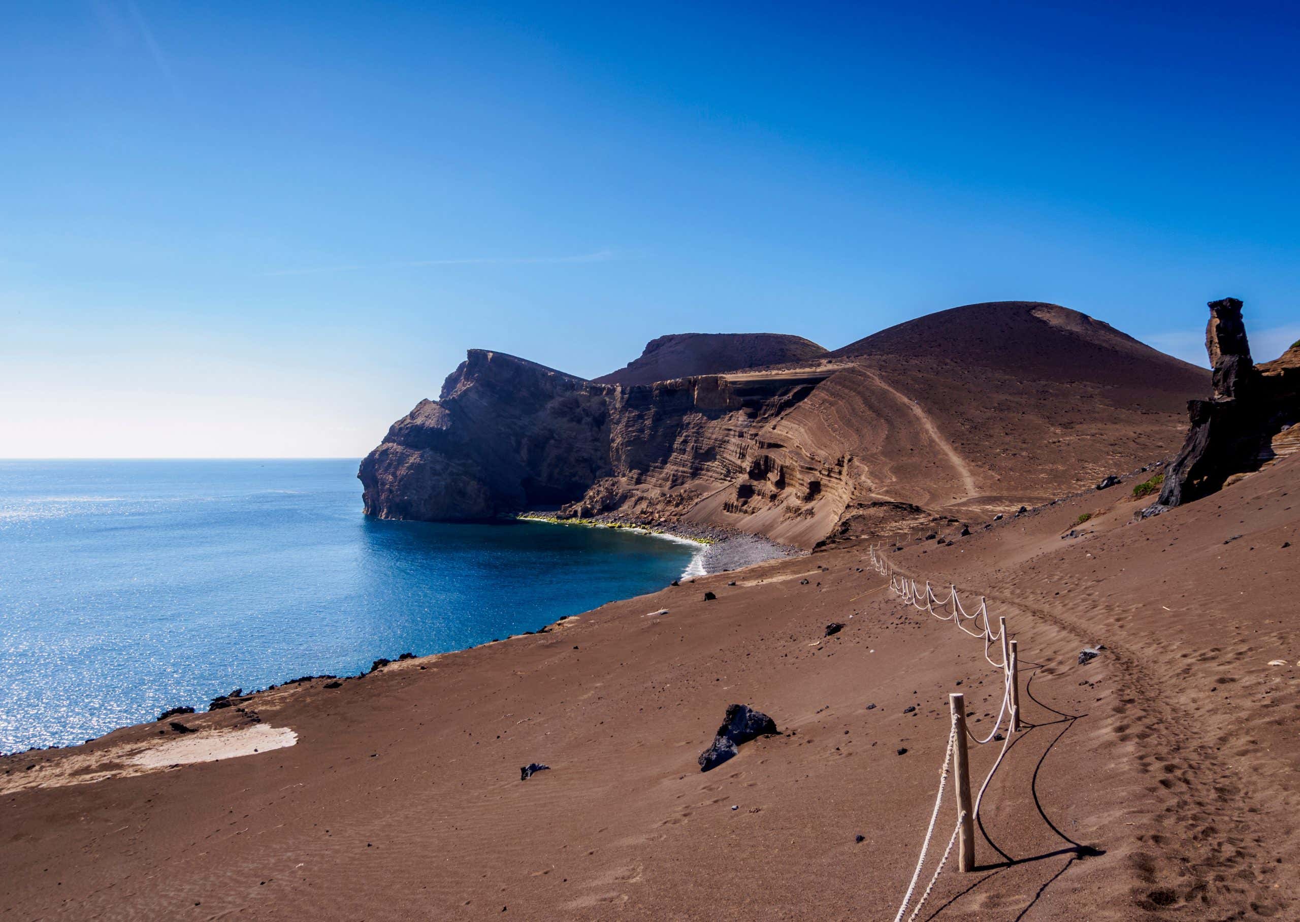 New Scientist. Science news and long reads from expert journalists, covering developments in science, technology, health and the environment on the website and the magazine.