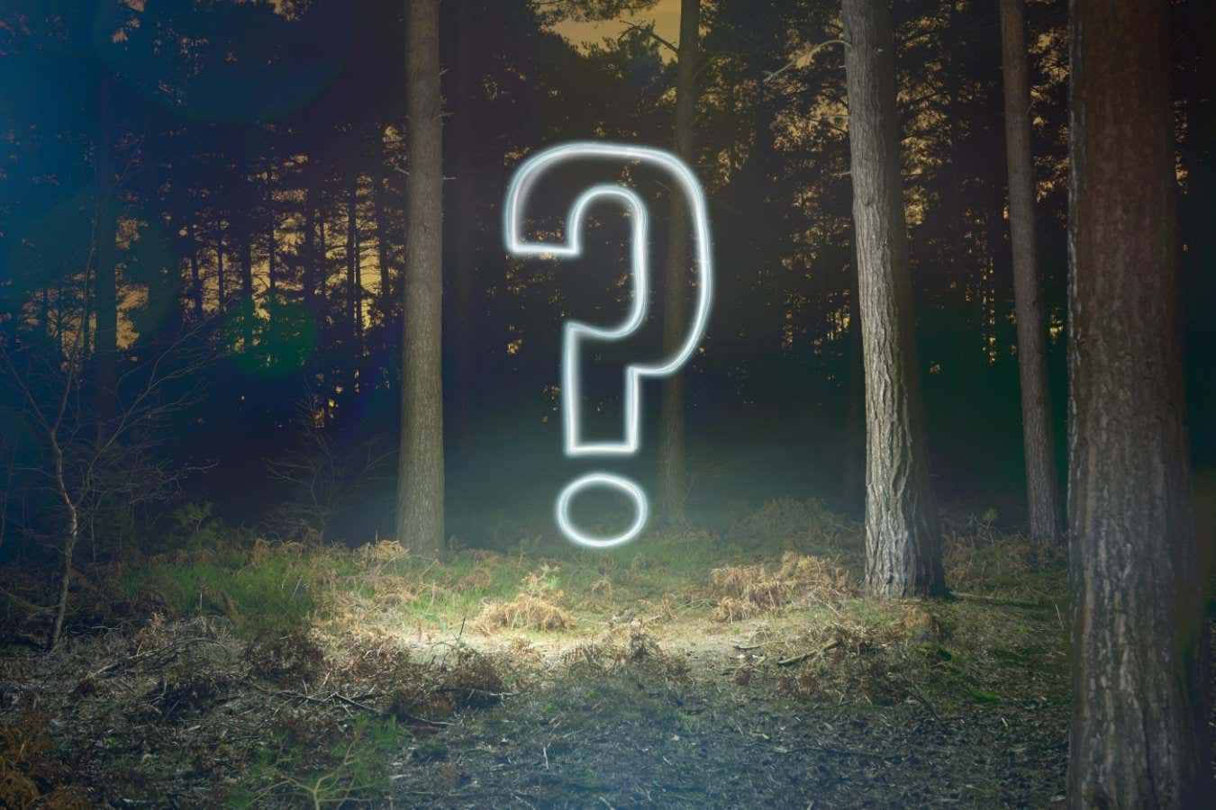 F20J3E Glowing question mark symbol in forest at night